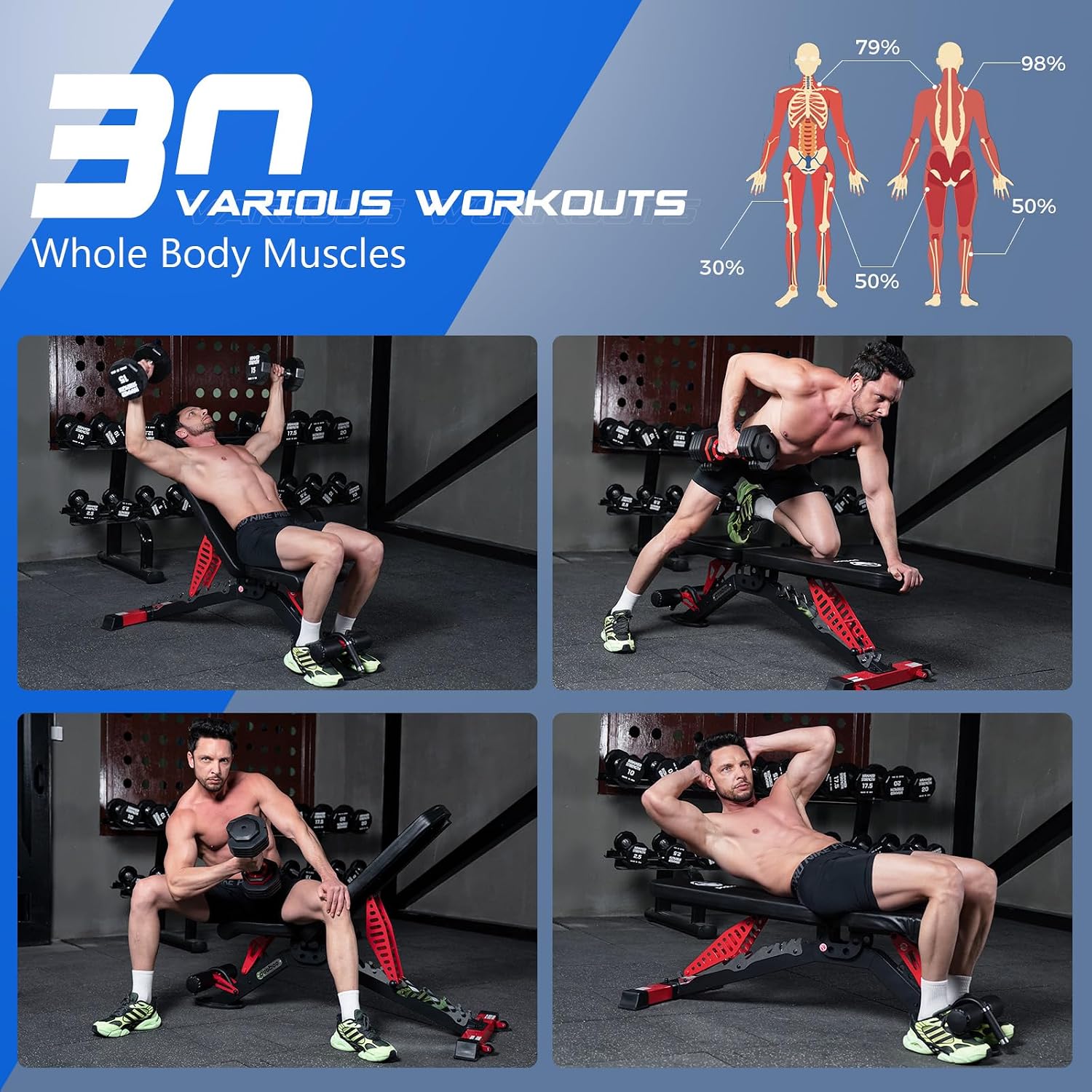 Panca Regolabile per Pesi, Pan - Home Gym Weight recensione e prezzo